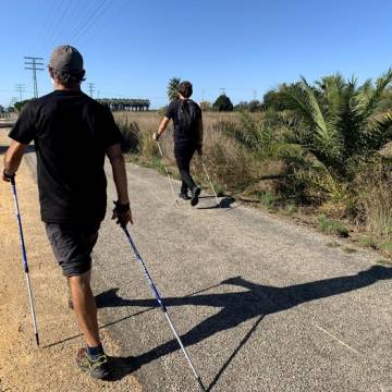 40806613.525x525_Mediano