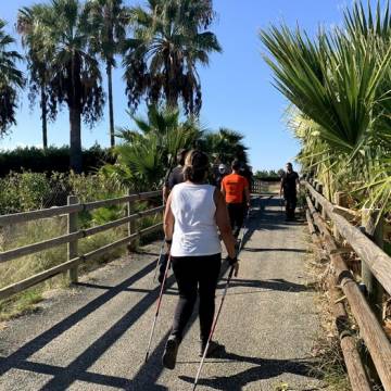 40806615.525x525_Mediano