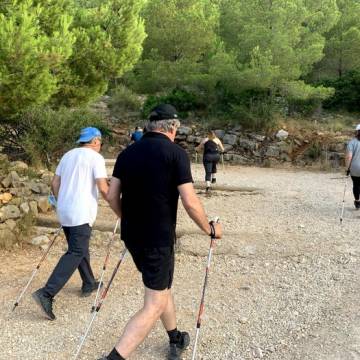 40809290.525x525_Mediano