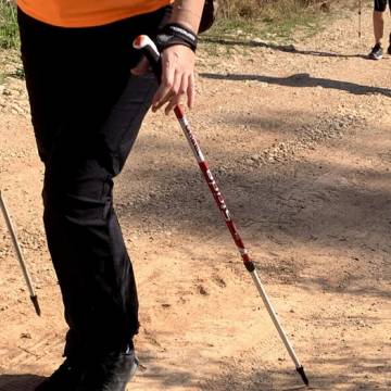 40809305.525x525_Mediano