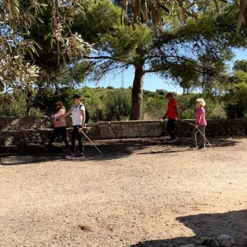 40810321.525x525_Mediano