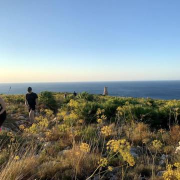 40810393.525x525_Mediano