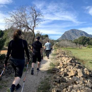 40810439.525x525_Mediano