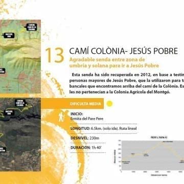 camidecolonia_Mediano