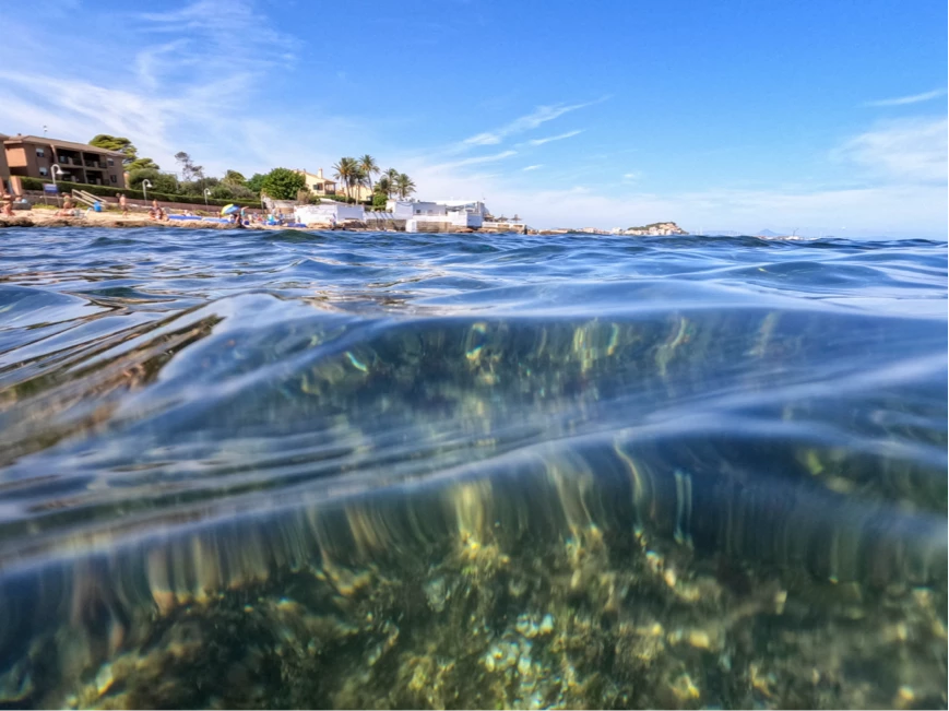 Normas y usos de las Reservas Marinas
