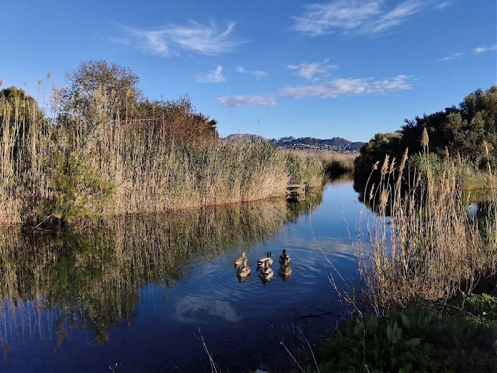 Ornithological Route
